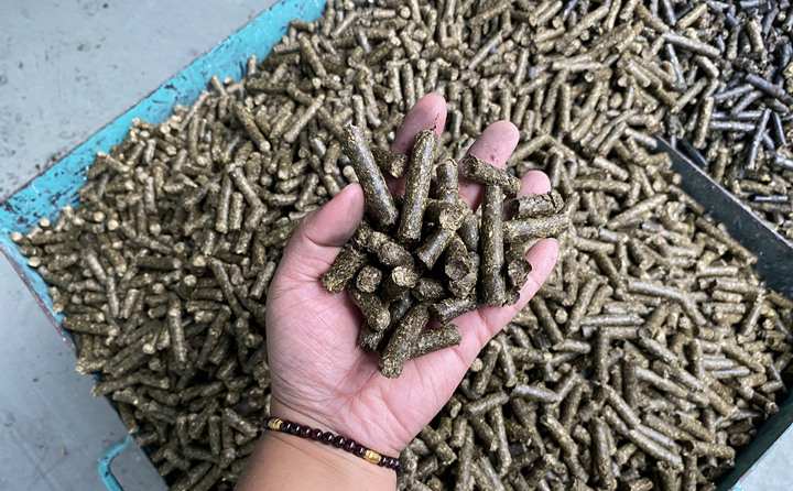 生物質(zhì)能源是天然的綠色燃料，燃燒后從原料再生到能源轉(zhuǎn)化，可全周期趨于碳的零排放。因此實現(xiàn)碳中和目標(biāo)，生物質(zhì)能大有可為