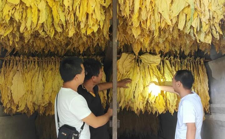 福泉：生物質顆粒智能化烘烤 助力烤煙產業(yè)提質增效