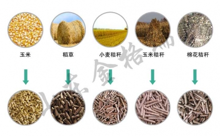 解析顆粒機設備生物質顆粒燃料的4大誤區(qū)